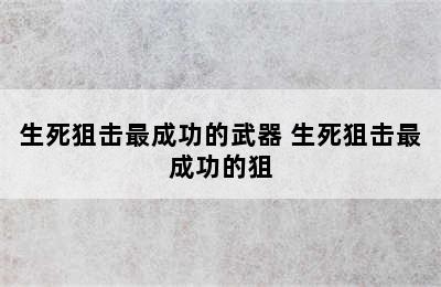 生死狙击最成功的武器 生死狙击最成功的狙